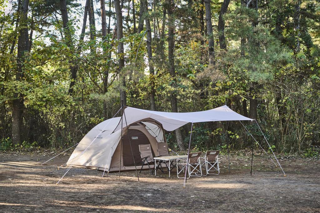 Coleman Tough Wide Dome Camping Tent Easy Person 1500mm Water Pressure Includes and Storage Features Air Circulation System VI/3025 (Greige) -