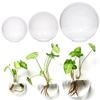 Purify House Glass Crafts Hydroponic Plants Hydroponic Vase Plant Container Flower Vase Flower Pot