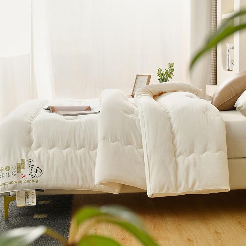 Waffle Jacquard Soybean Fiber Winter Quilt