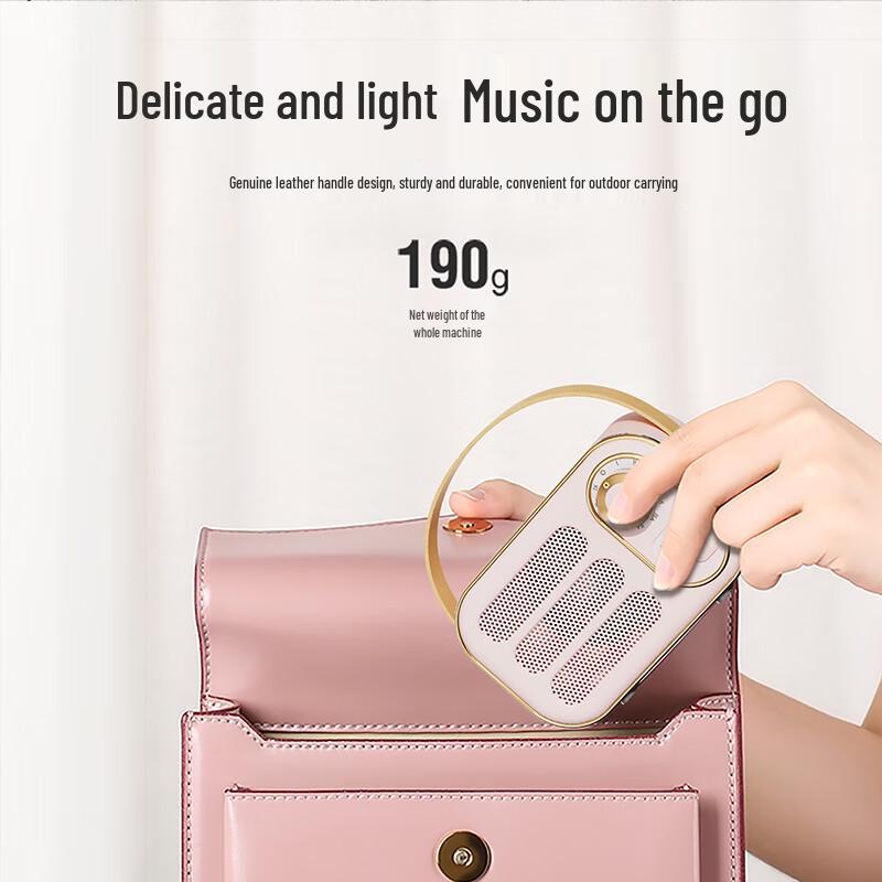 Wanwu DW13 Retro Bluetooth Speaker