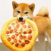Dog Toy Plush Pizza Shape Pet Squeaky Sound Toys for Small Large Dogs Puppy Teeth Cleaning Chew Toy Pet Supplies
