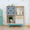 NABOSKY Turquoise 2x2 Storage Unit