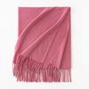 Cashmere Feel Scarf Autumn and Winter Korean Imitation Cashmere Girls High End Shawl Warm Scarf