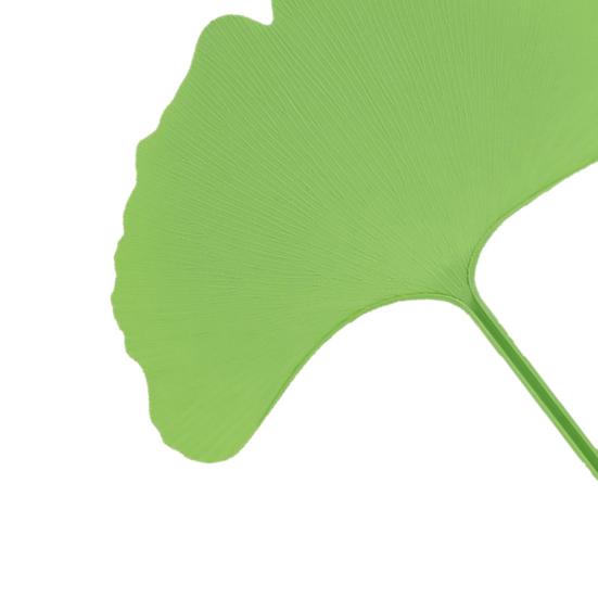 2Pcs Ginkgo Leaf Shape Handheld Fan, Decorative Leaf Hand Fan, Portable Lightweight Summer Cooling Fan, Party Favors for Men Women