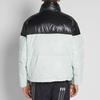 adidas Originals x Alexander Wang прозрачный износостойкий пуховик с цветными блоками, мужская верхняя одежда, мятно-зеленый DT9504