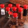 10Pcs 100ml Plastic Seasoning Bottle Spice Dispenser Pepper Jar Storage Bottle