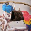Newest Budgie Plush Pet Bird Parrot Warm Hammock Cage Hanging Cave Hut Tent Bed Winter Bird's-nest