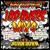 Mix CD BURN DOWN  Burn Down Style Japanese Mix 4 BDRCD023 Burn Down JPN 2012 Japan Japanese Club Dance