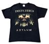 Футболка с принтом группы Disturbed, тур Asylum 2010, графика спереди и сзади, большая, унисекс