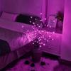 1 шт. ветка с подсветкой, на батарейках, 20 светодиодных гирлянд, домашнее DIY украшение, теплый белый или цветной, без батареек