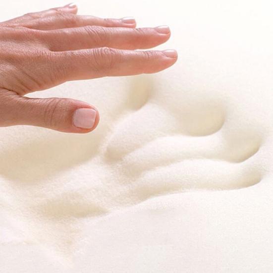 Толстая коралловая флисовая губка для ванной комнаты, гостиной, стула, коврика, нескользящий коврик