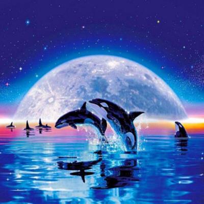 Полный 5D Diy Алмазная картина Мультфильм Дельфин Мозаика Вышивка Крестом Домашний Декор Ручной Работы