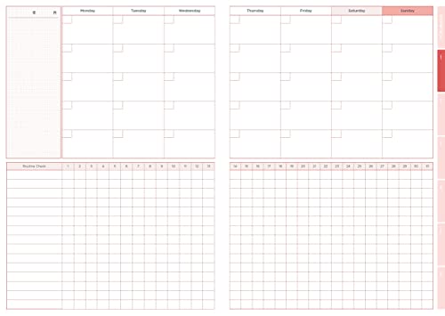 Super-fast PDCA Planner - A 6-cycle (6-month) Planner That Will Ensure and Super-fast PDCA Just by Writing.