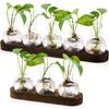 with Wooden Tray Hydroponics Glass Vase Bud Vases Bulb Vase  Home Decoration