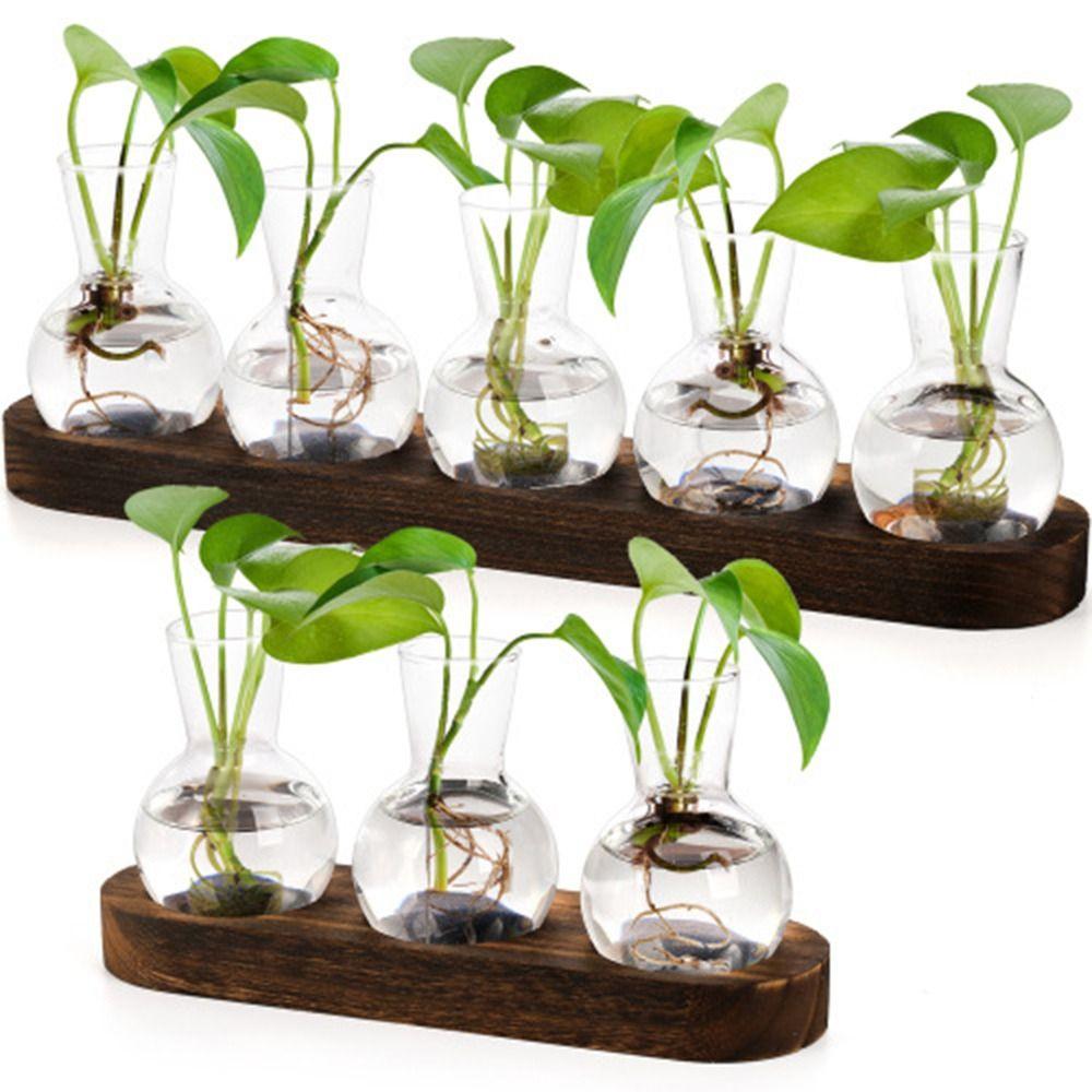 with Wooden Tray Hydroponics Glass Vase Bud Vases Bulb Vase  Home Decoration