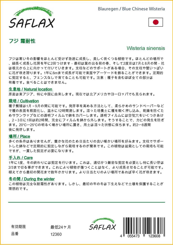 SAFLAX Глициния китайская голубая - 4 семени - Wisteria sinensis