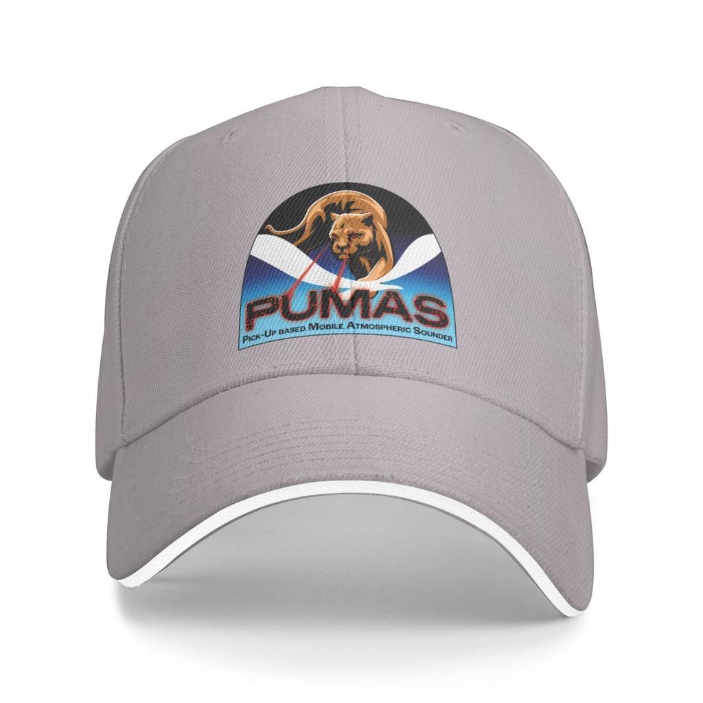 TOL Band PUMAS Кепка с логотипом Бейсболка Зимняя шапка для гольфа Женская шапка унисекс