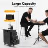 Professional 3-Drawer Rolling Makeup Case with Lock, 20kg Capacity Mobile Beauty Cart on Wheels for Makeup Artists Travel