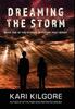 Книга Dreaming the Storm : 1