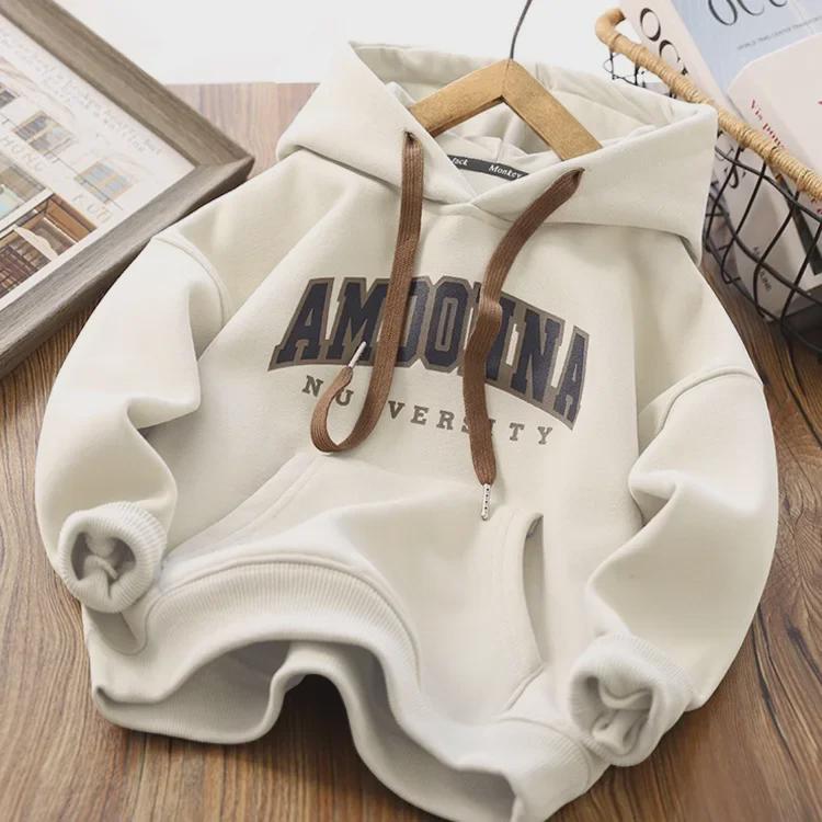 Бархатная толстовка с капюшоном для мальчиков: Модный свитер-пуловер осень/зима 2024 для детей