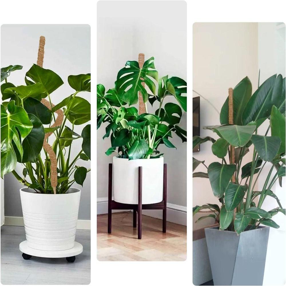 Aluminum Large Moss Pole Support Bendable Plant Stand Stakes Grow Upwards