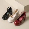 Дизайнерская платформа Женские туфли Мэри Джейн Элегантные туфли на толстом каблуке с двойной пряжкой Женские туфли-лодочки для платья Туфли на высоком каблуке для вечеринки