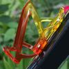 Water Bottle Cage Holder Lightweight Cycling Bracket Easy Install Non-Slip Cup Holder