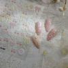 5D Pink Insect Nail Art Stickers with Adhesive - TikTok Hot Trend Jelly Phone Case