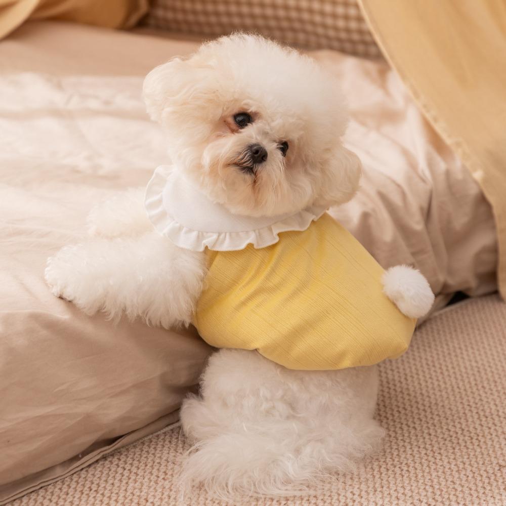 Pet Clothes Cute Rabbit Lapel Thickened Autumn and Winter Dog Clothes Cotton Coat