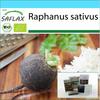 Подарочный набор - Органический - Редис - Черный испанский круглый - 100 семян - С подарочной коробкой, карточкой, этикеткой и субстратом для горшков - Raphanus sativus