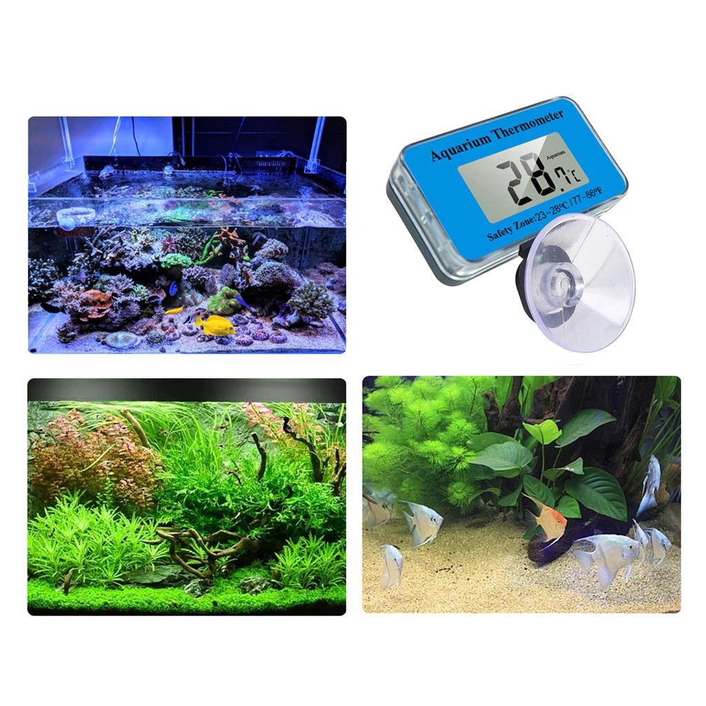 Clear Digital Display Aquarium Thermometer with Strong Suction Cup for Fishtank Precise Water Temperature Monitoring