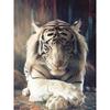 5D DIY Diamond Painting White Tiger Cross Stitch Kit Mosaic Diamond Embroidery Rose Full Round/Square Drill Home Decoration