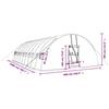 Green Greenhouse with Steel Frame 60 m² 10 x 6 x 2.85 m
