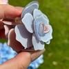 French 3D Camellia Flower Hair Claw Clip Elegant Acetate Resin Crab Hair Jaw Clamps Hairpins For Women Girls