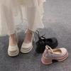 French with Skirt Thick Heel Gentle Small Leather Shoes Autumn 2025 New Mary Jane Single Shoes Platform High Heels Women