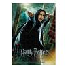 108 Piece Jigsaw Puzzle Harry Potter Severus Snape (18.2 X 25.7cm)
