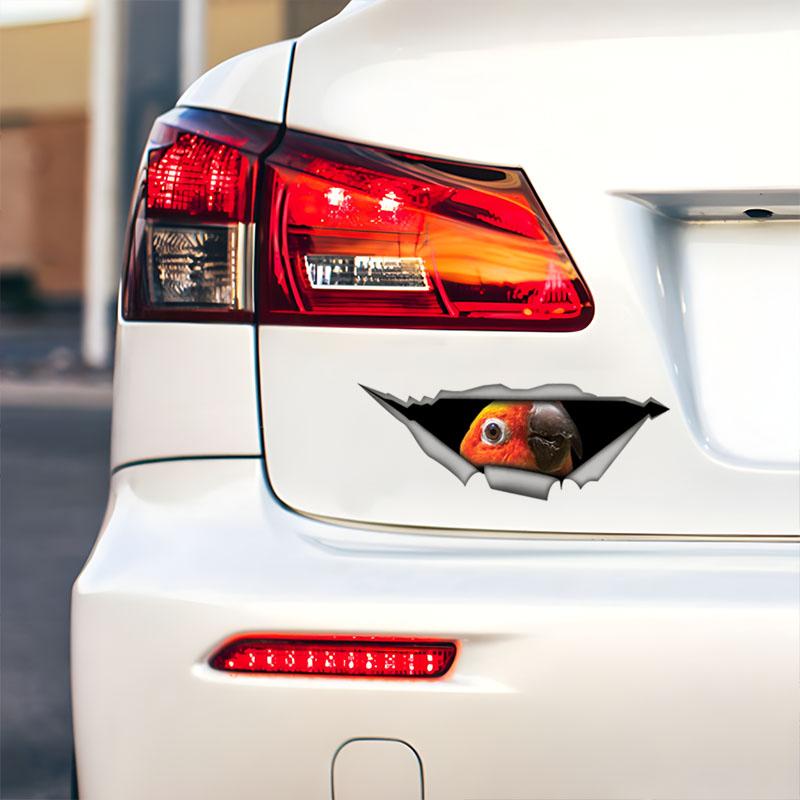 Наклейки на машину с попугаем солнечным аратингой, водонепроницаемые виниловые наклейки, для окон автомобиля, бампера автомобиля, декоративные аксессуары для кузова автомобиля