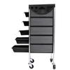 Hair Salon Instrument Storage Cart Adjustable Height Trolley Beauty Tools with 5 Drawers