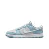 Nike Dunk Low Fleece Swoosh - Светло-голубой 2023 FB1871-011