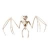 Scorpion Horror Home Mouse Bat Party Artificial Skull Trick Props Plastic  Bones Animal Skeleton