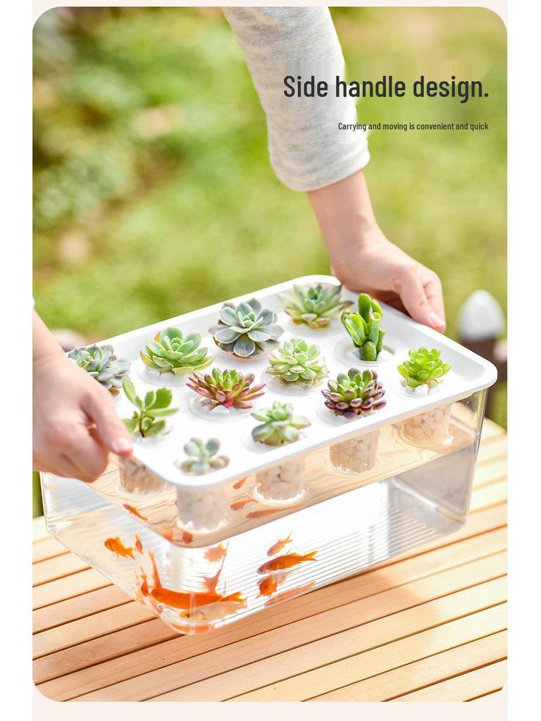 Экологичный аквариум для петушка: Стильный настольный микро-ландшафт для гостиной и офиса с аквариумом-симбиозом для золотых рыбок и растений