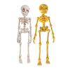 Skull Fridge Magnets with Movable Joints Halloween Poseable Skeleton Fridge