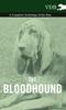 Книга The Bloodhound - A Complete Anthology of the Dog -