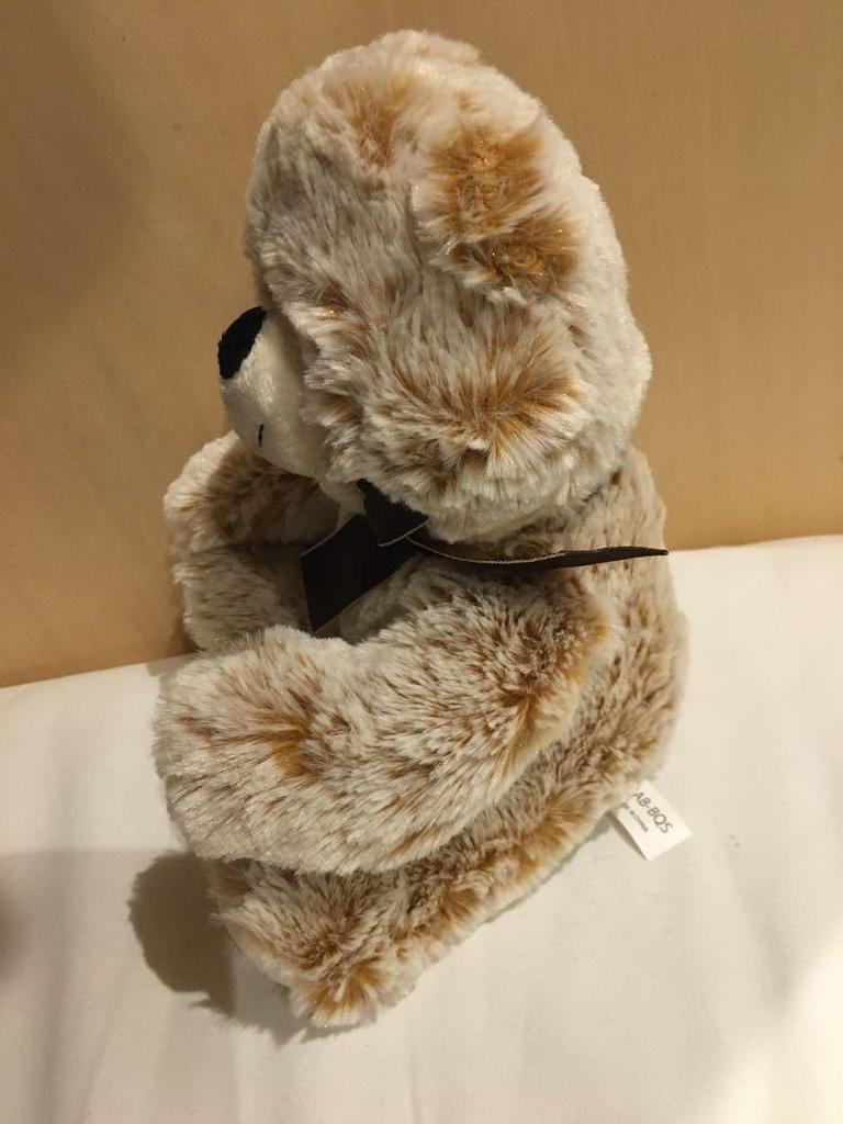 [USED] Teddy bear