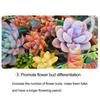 22Pcs/Bottle Phytonutrients Plant Nutrition Slow-release Balanced Nutrient Elements Fruits Vegetables Flowers Phytonutrients for Healthy Growth