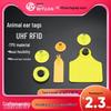 RFID-бирки для ушей животных: Высокочастотные/Низкочастотные метки для свиней, крупного рогатого скота и овец - Эффективные решения для управления животноводством