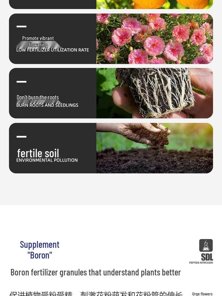 Boron-Enriched Granular Fertilizer: Boosts Flowering & Fruit Set for Trees, Slow-Release & Water-Soluble, Ideal for Vegetables, Melons, and Fruits