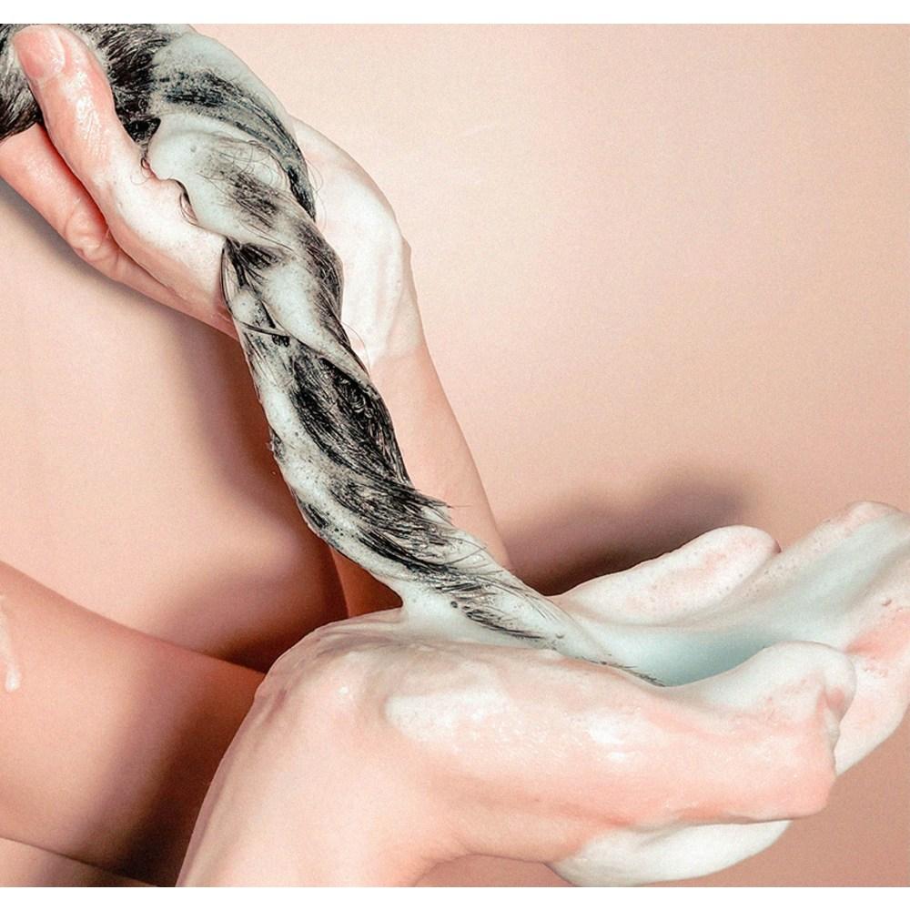 CH6 Greenol Herb Allophosia Шампунь с ароматом зеленого чая и дерева, 1 л, 2 шт.