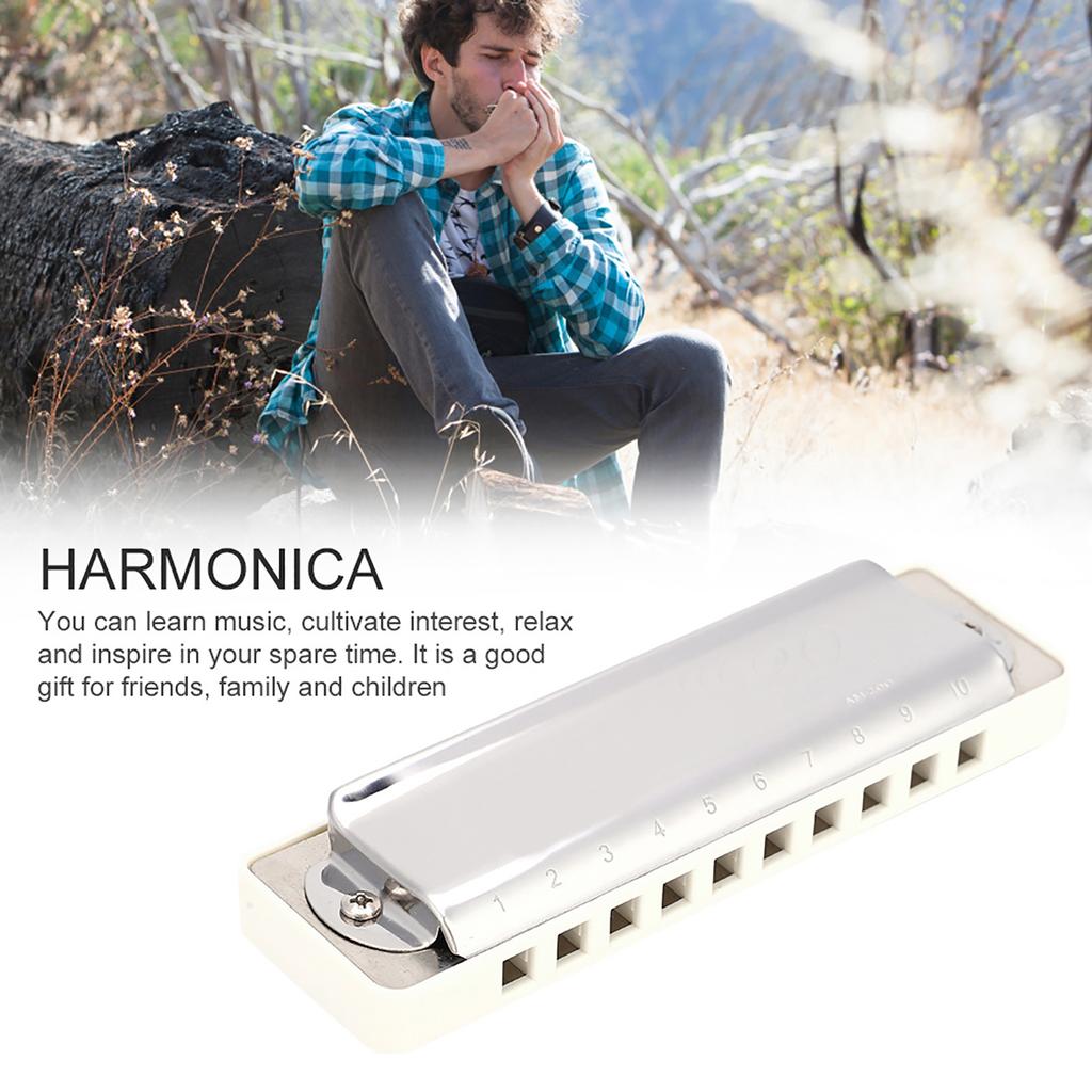 KONGSHENG AM 20D Фосфорно-бронзовые язычки 10 отверстий 20 тонов Блюзовая губная гармошка в тональности C(белый)