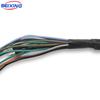 Molex Micro-fit Overmolded Custom Wire Harness Cable Assembly E00063 for Car IATF16949 for PVC Insulation IP66 BeiXing